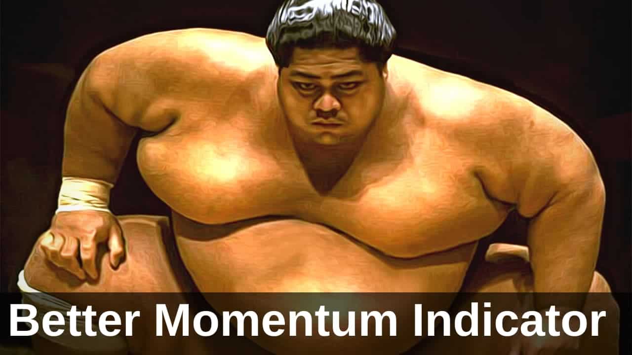 Sumo wrestler demonstrating weight and force, a metaphor for how volume momentum drives price movement in trading
